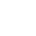 express icon