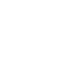Express icon